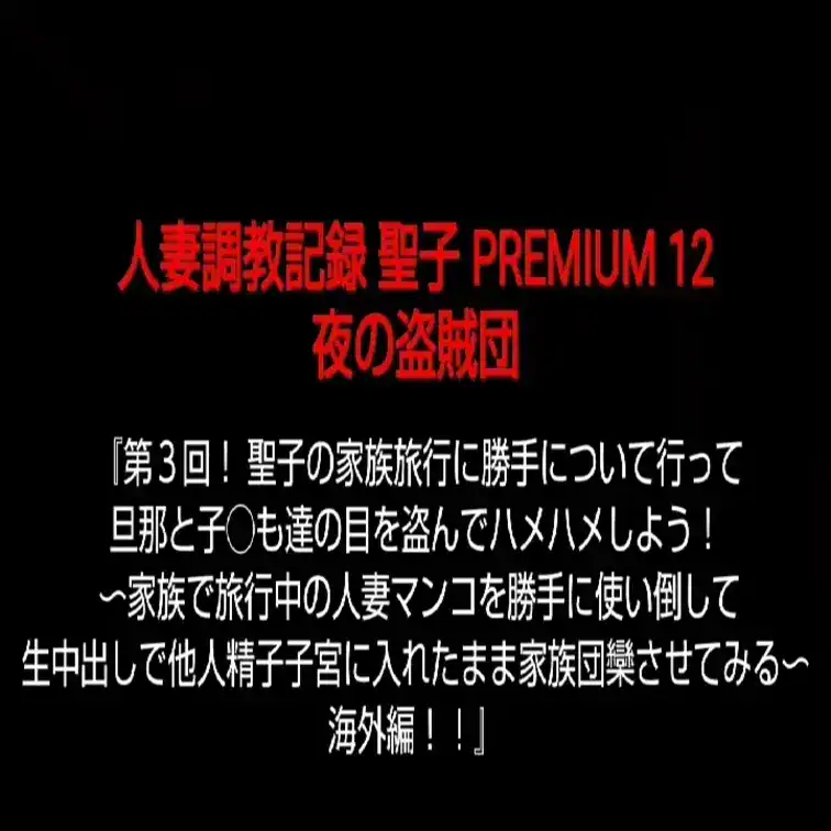 夜の盗賊団(NTR 人妻 托卵)